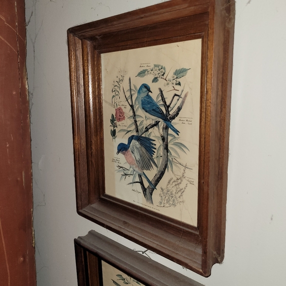 Vintage Arthur Singer Framed Prints - Picture 8 of 8